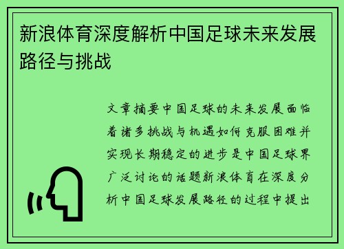 新浪体育深度解析中国足球未来发展路径与挑战